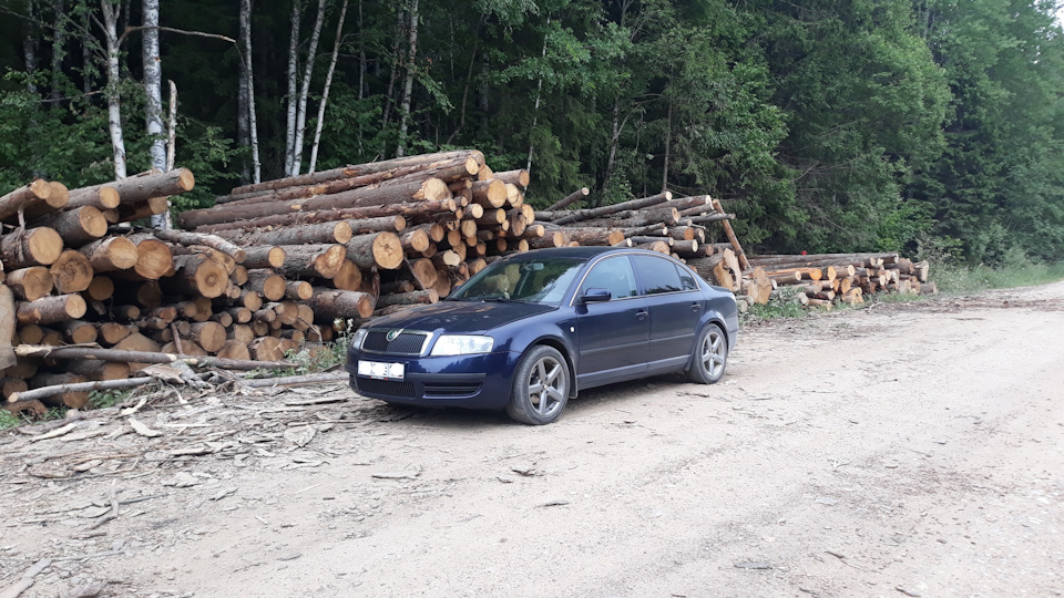 Фото в бортжурнале Skoda Superb Mk1