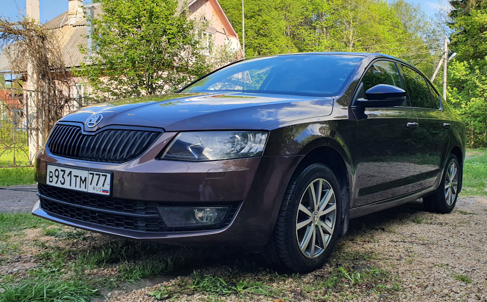 Фото в бортжурнале Skoda Octavia A7 Mk3