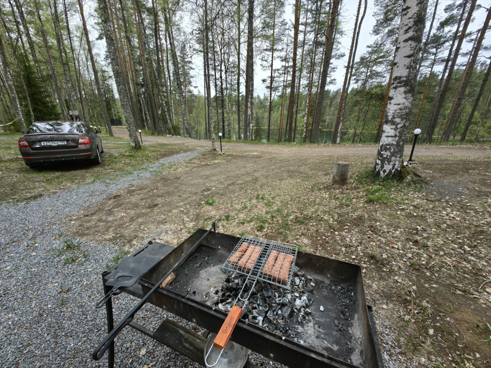 а перед этим естественно мяско с пивом)) — Skoda Octavia A7 Mk3