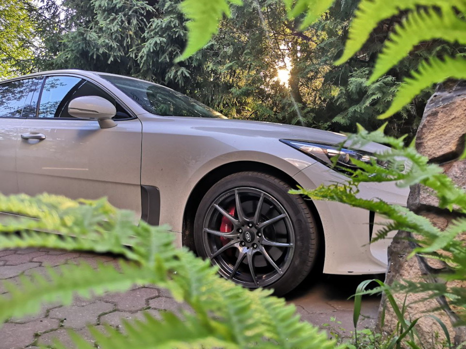 Photo from the logbook KIA Stinger