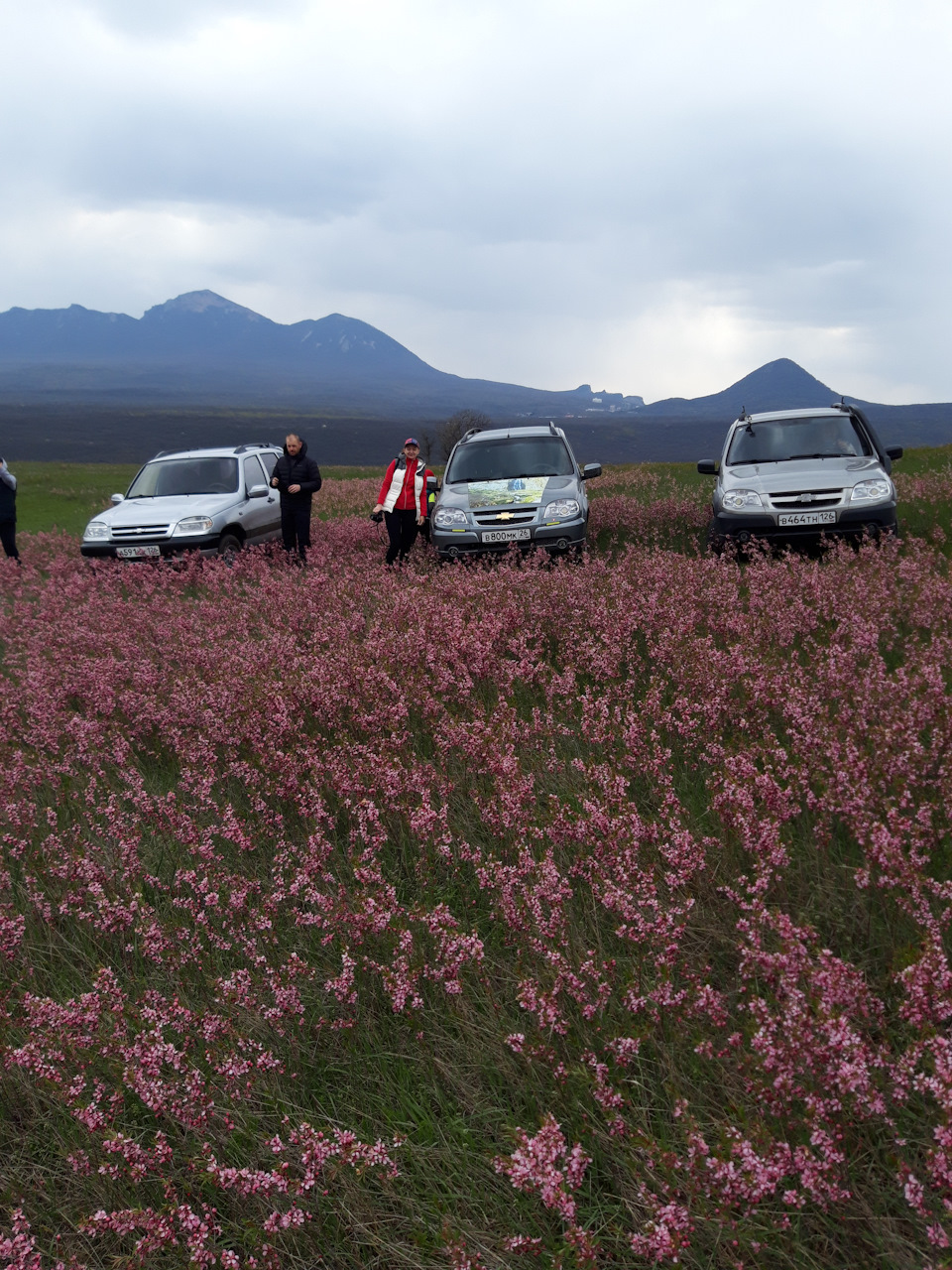 Подъехали к горе и нашли такую поляну — Chevrolet Niva GLX