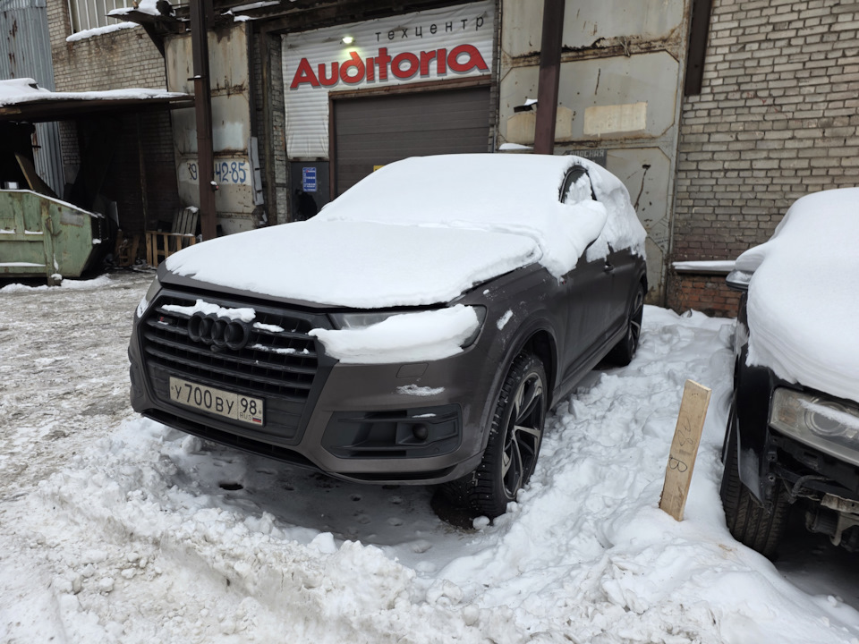 Мои визиты в Аудиторию становятся еще более частыми :) — Audi Q7 (2G)