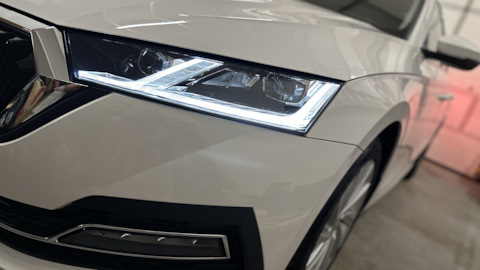первые 6 Месяцев — Skoda Octavia A8 Mk4 дизель, 2 л, 2022 года