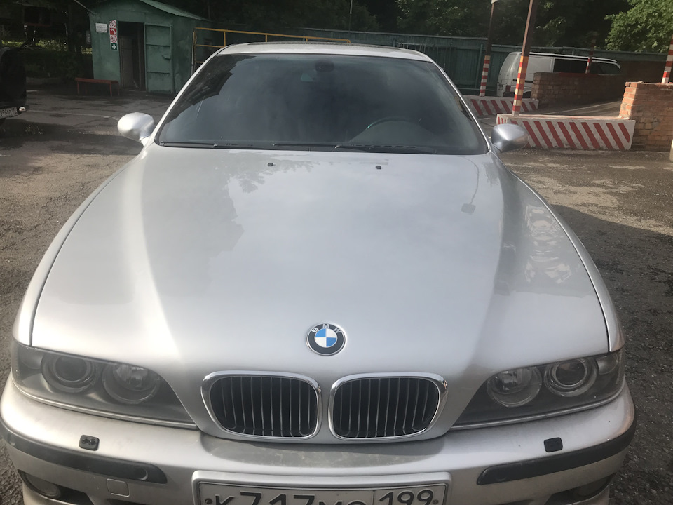 Фото в бортжурнале BMW 5 series (E39)