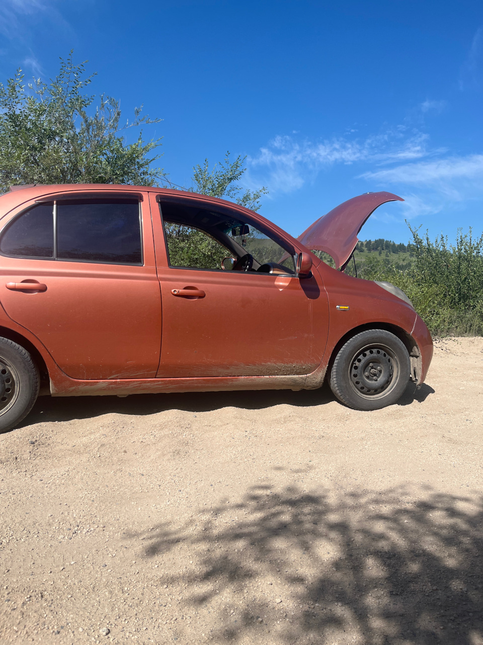 А это Рыжик отдыхает на «волнах» нашей прекрасной дороги — Nissan March (K12)