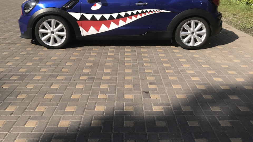 MINI Paceman Baby shark
