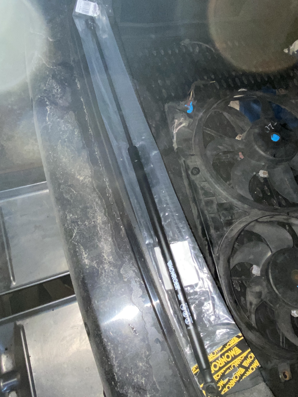 Фото в бортжурнале Volkswagen Passat B6