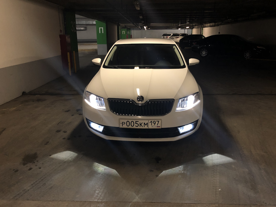 Фото в бортжурнале Skoda Octavia A7 Mk3