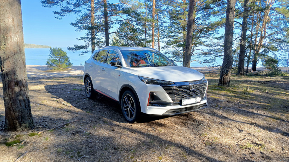 Changan CS55 Plus Панда🐼