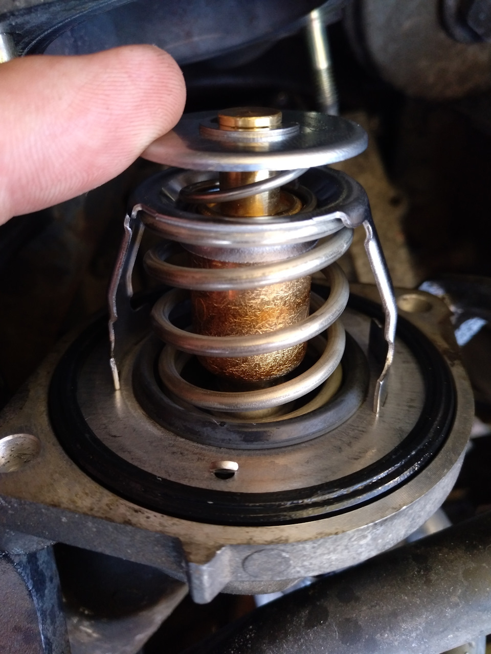 Фото в бортжурнале Toyota Vista (30)