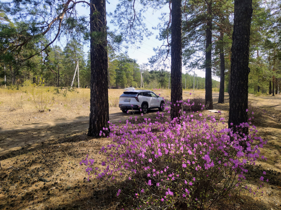 Photo from the logbook Geely Atlas (2G)