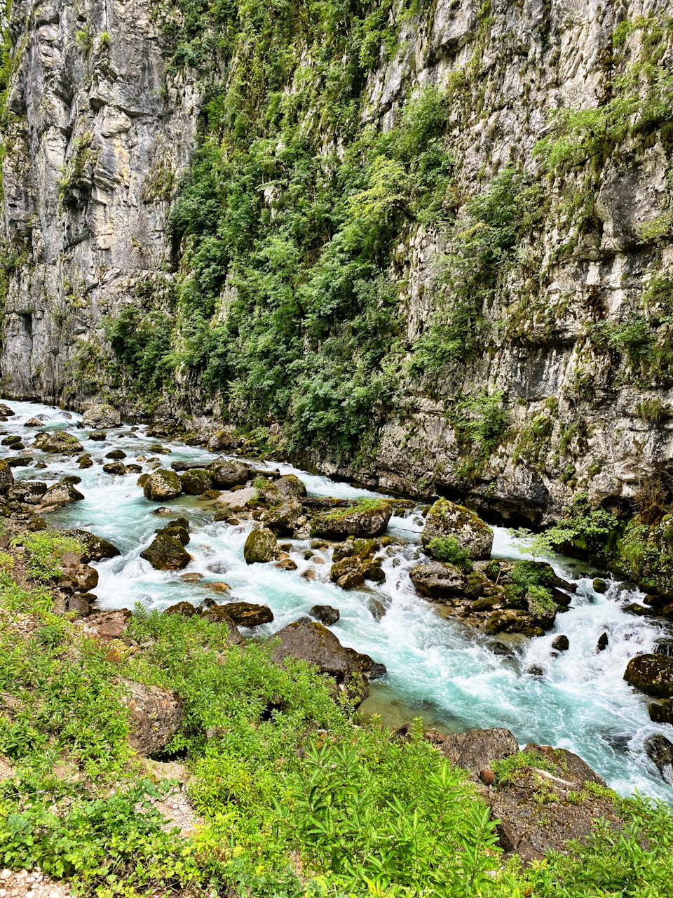Photo from the logbook KIA Carnival (4G)