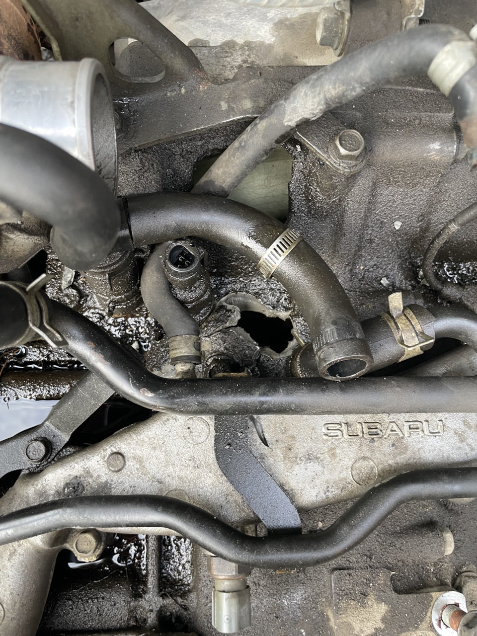 Фото в бортжурнале Subaru Forester (SF)