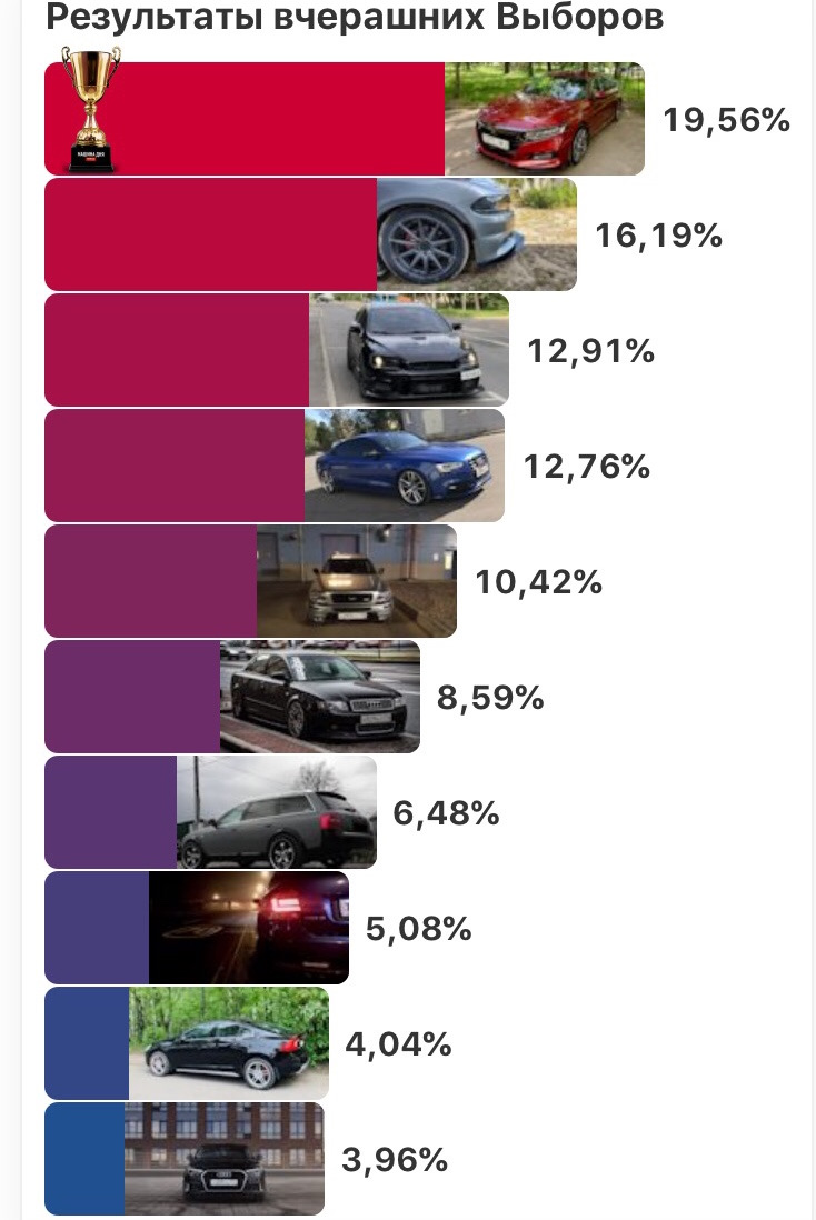 Вот такие пироги — с котятами ⚖️ — Audi Allroad (C5)