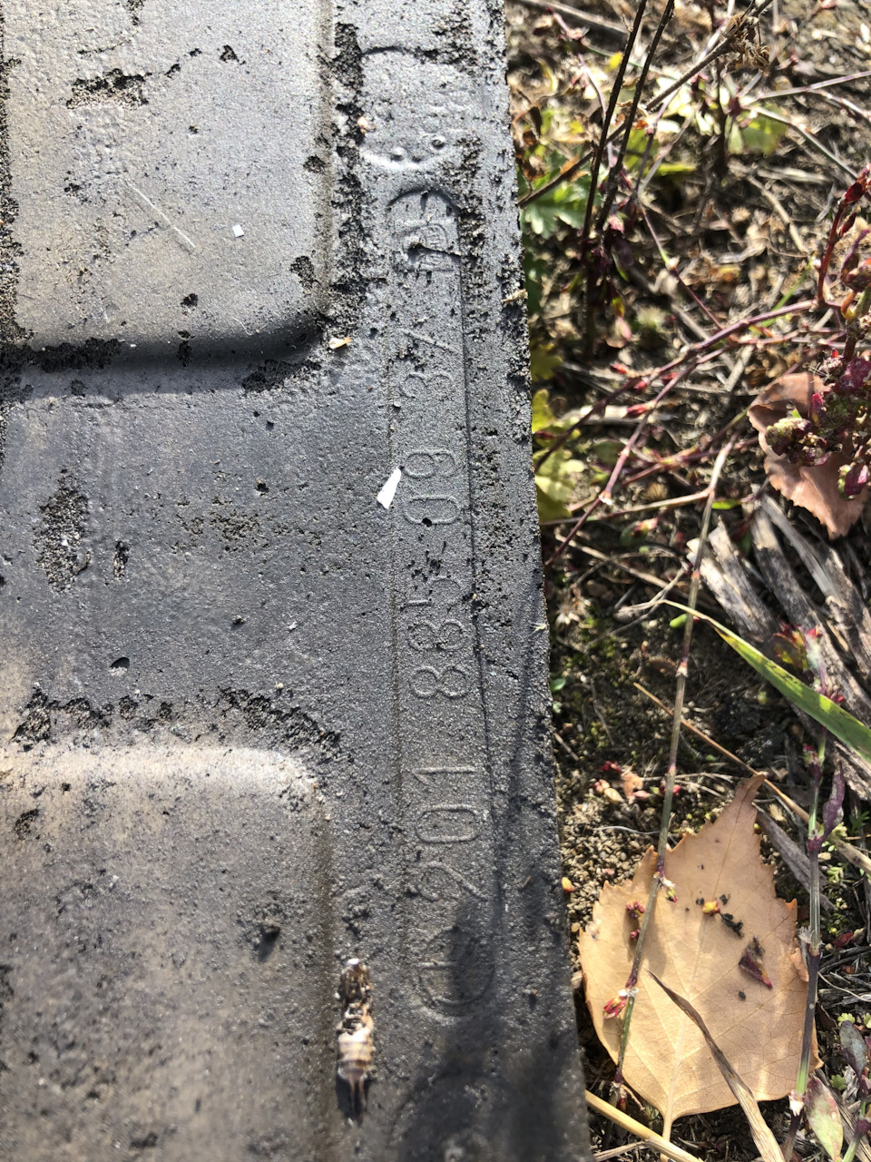 Фото в бортжурнале Mercedes-Benz 190 (W201)