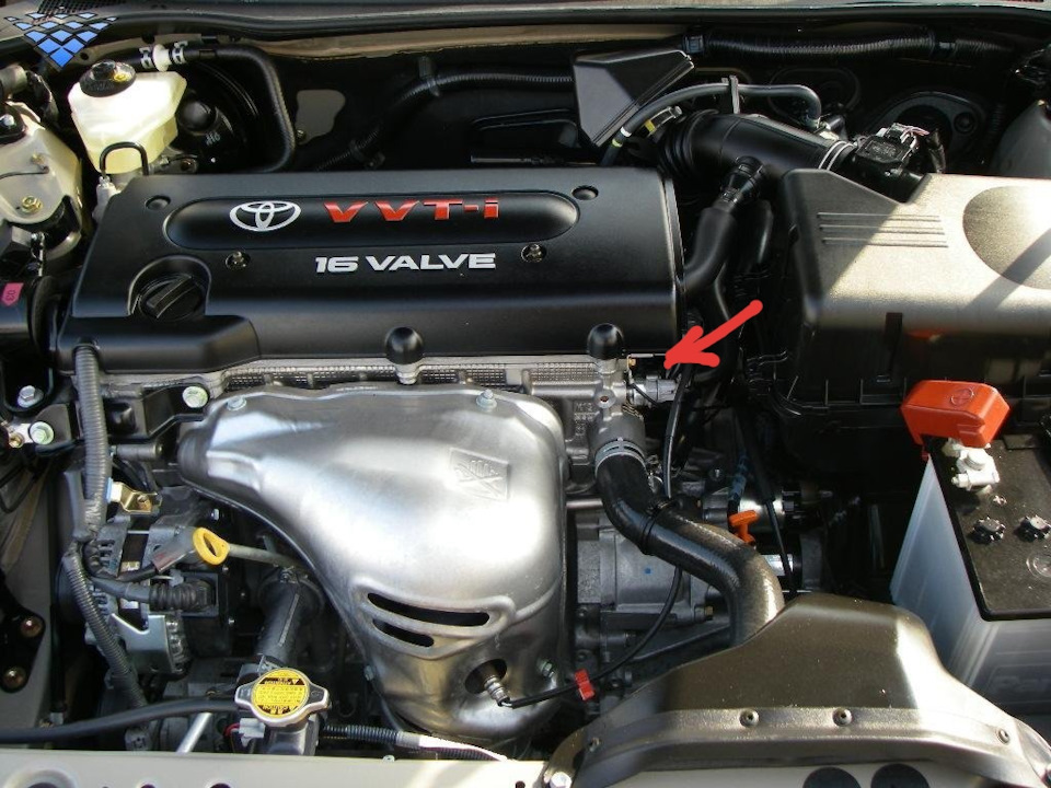 Тута — Toyota Camry (XV30)