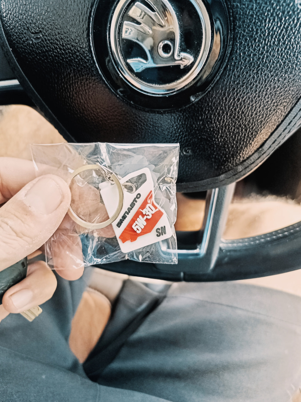 Фото в бортжурнале Skoda Rapid (1G)