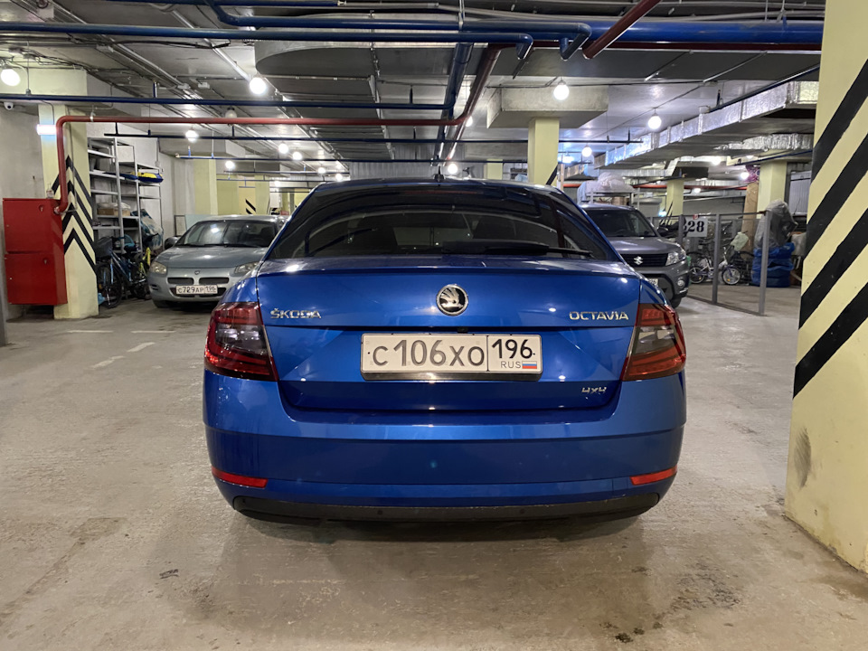 Фото в бортжурнале Skoda Octavia A7 Mk3