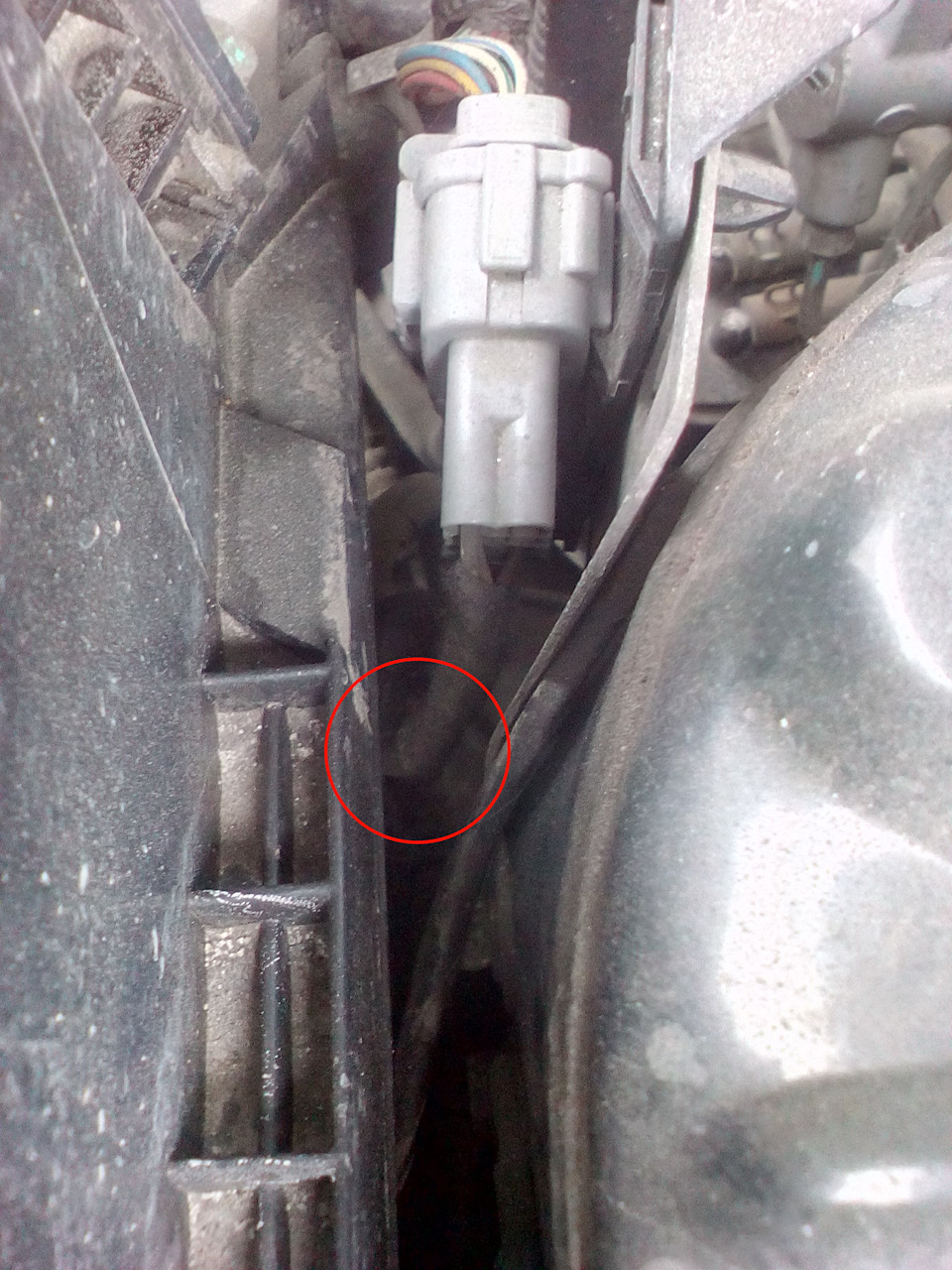 Фото в бортжурнале Nissan Almera Classic (B10)