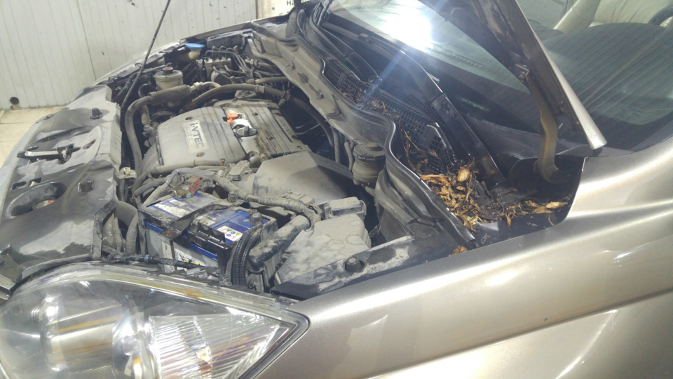Honda CR-V 2.4