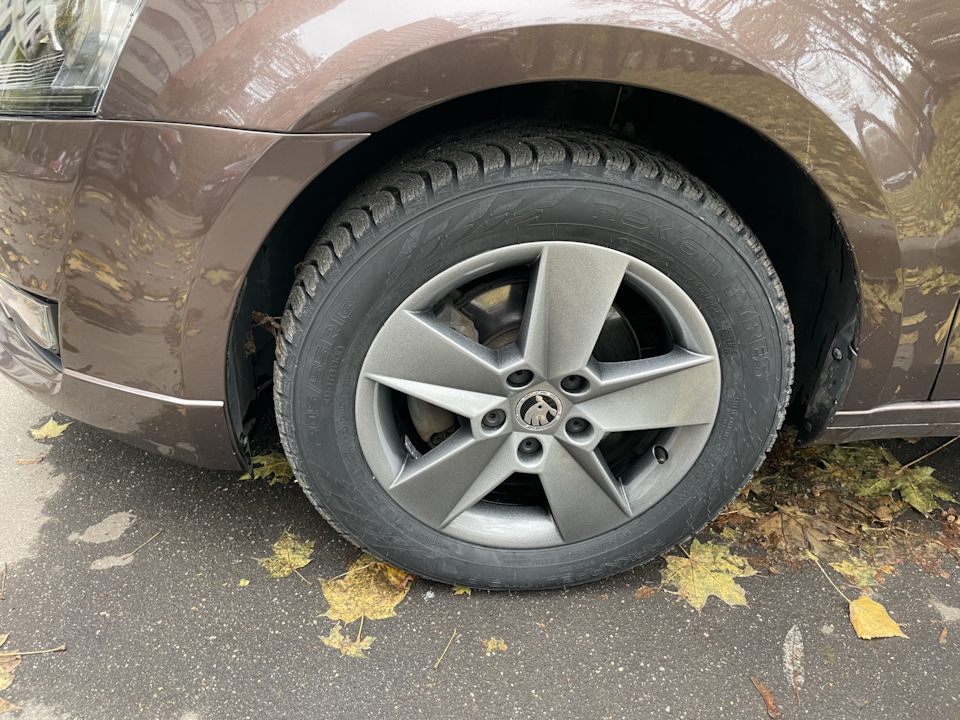 Красил в бриллиантовый графит, выглядит очень хорошо на солнце — Skoda Octavia A7 Mk3