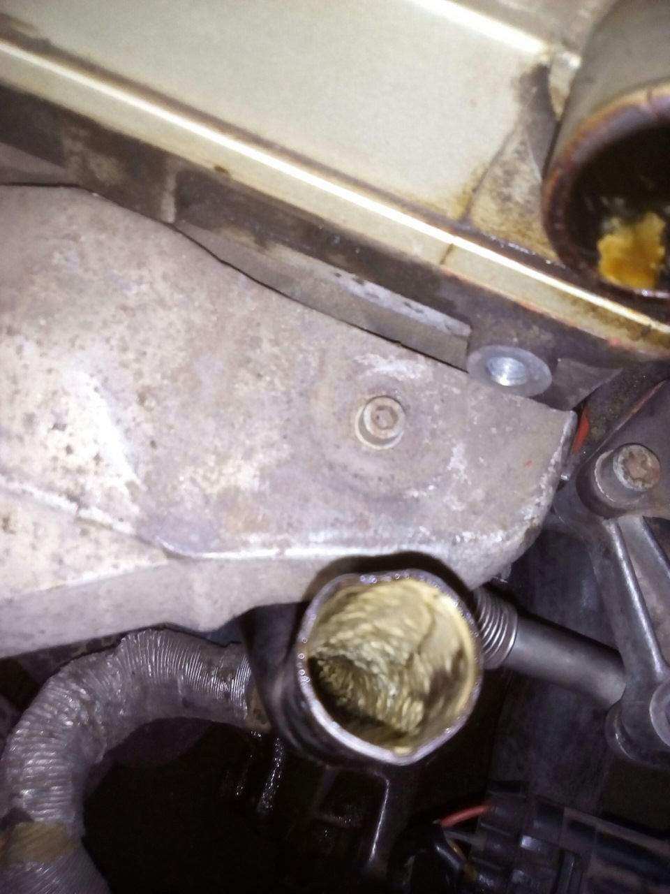 Фото в бортжурнале Opel Vectra B