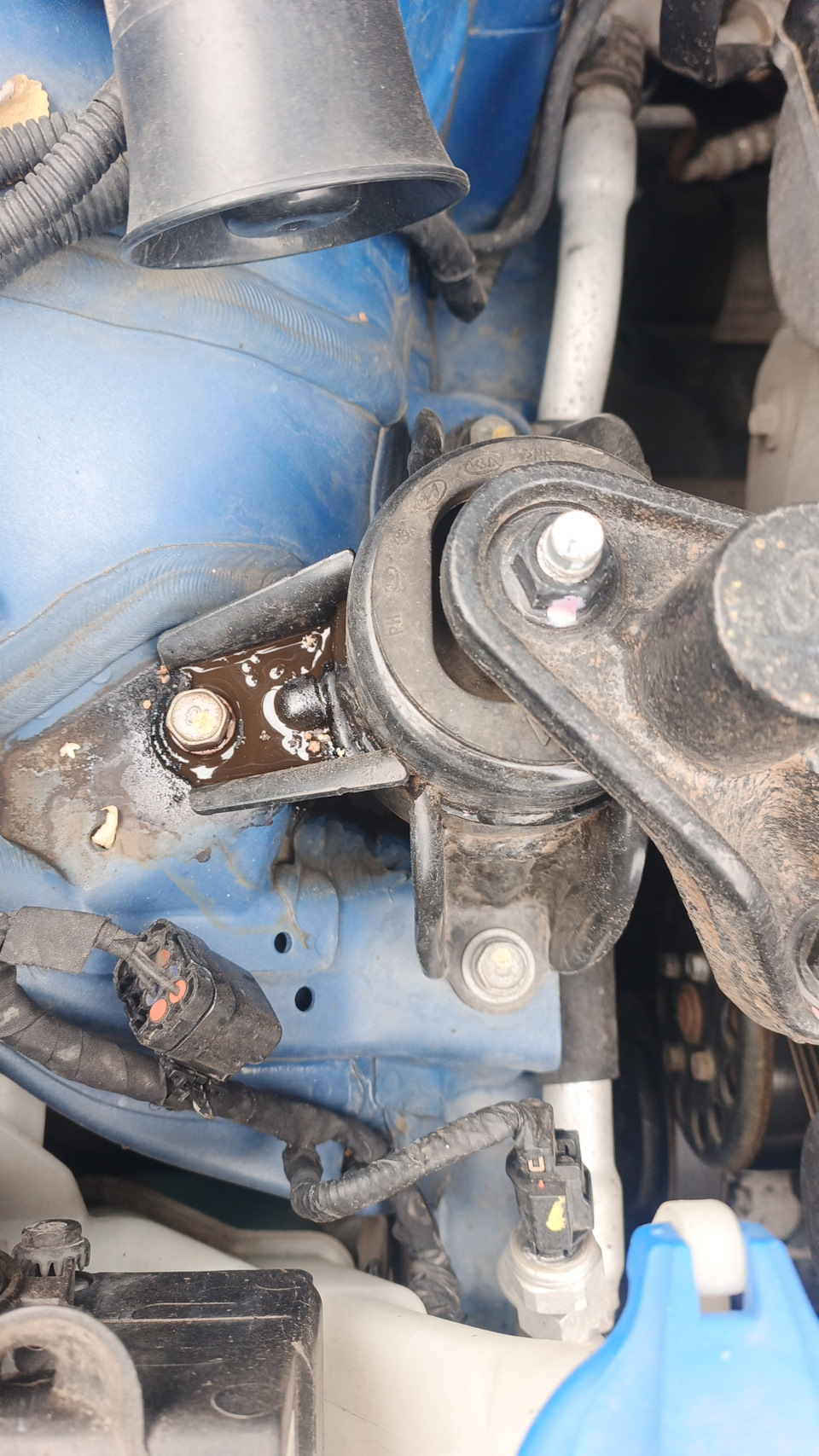 Фото в бортжурнале KIA Ceed SW (2G)
