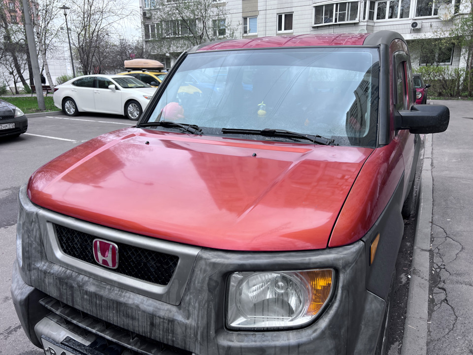 Фото в бортжурнале Honda Element