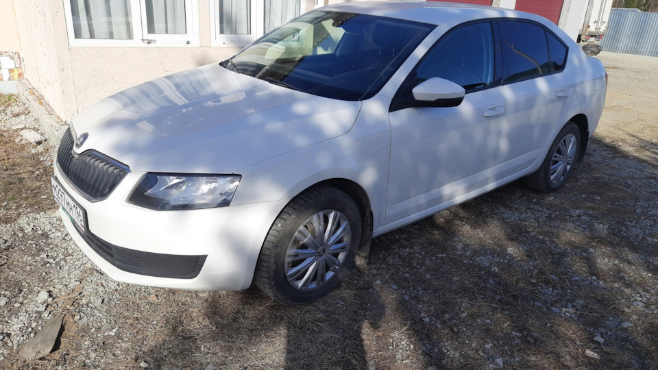 Skoda Octavia Бледный бармен )
