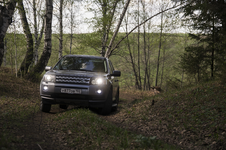Фото в бортжурнале Land Rover Freelander 2 (L359)