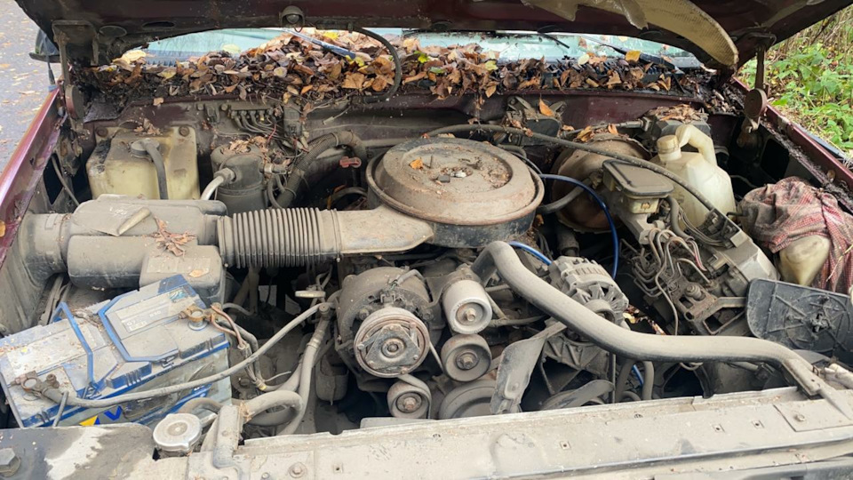 Фото в бортжурнале Chevrolet K5 Blazer (3G)
