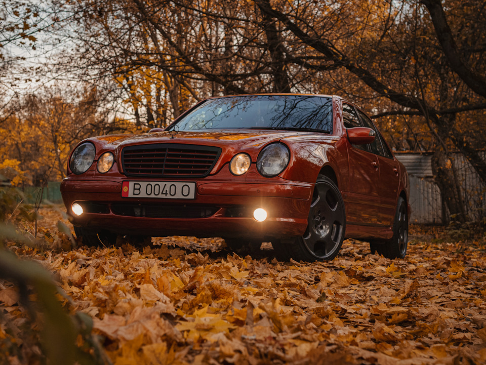 Фото в бортжурнале Mercedes-Benz E-Class (W210)