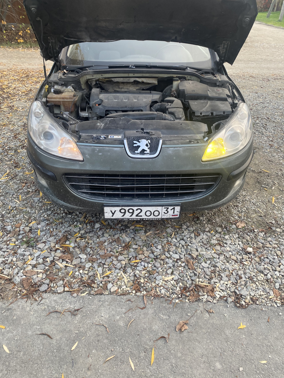 На этом фото разница в габаритах по свету. — Peugeot 407