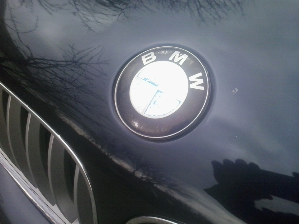 Фото в бортжурнале BMW X5 (E53)