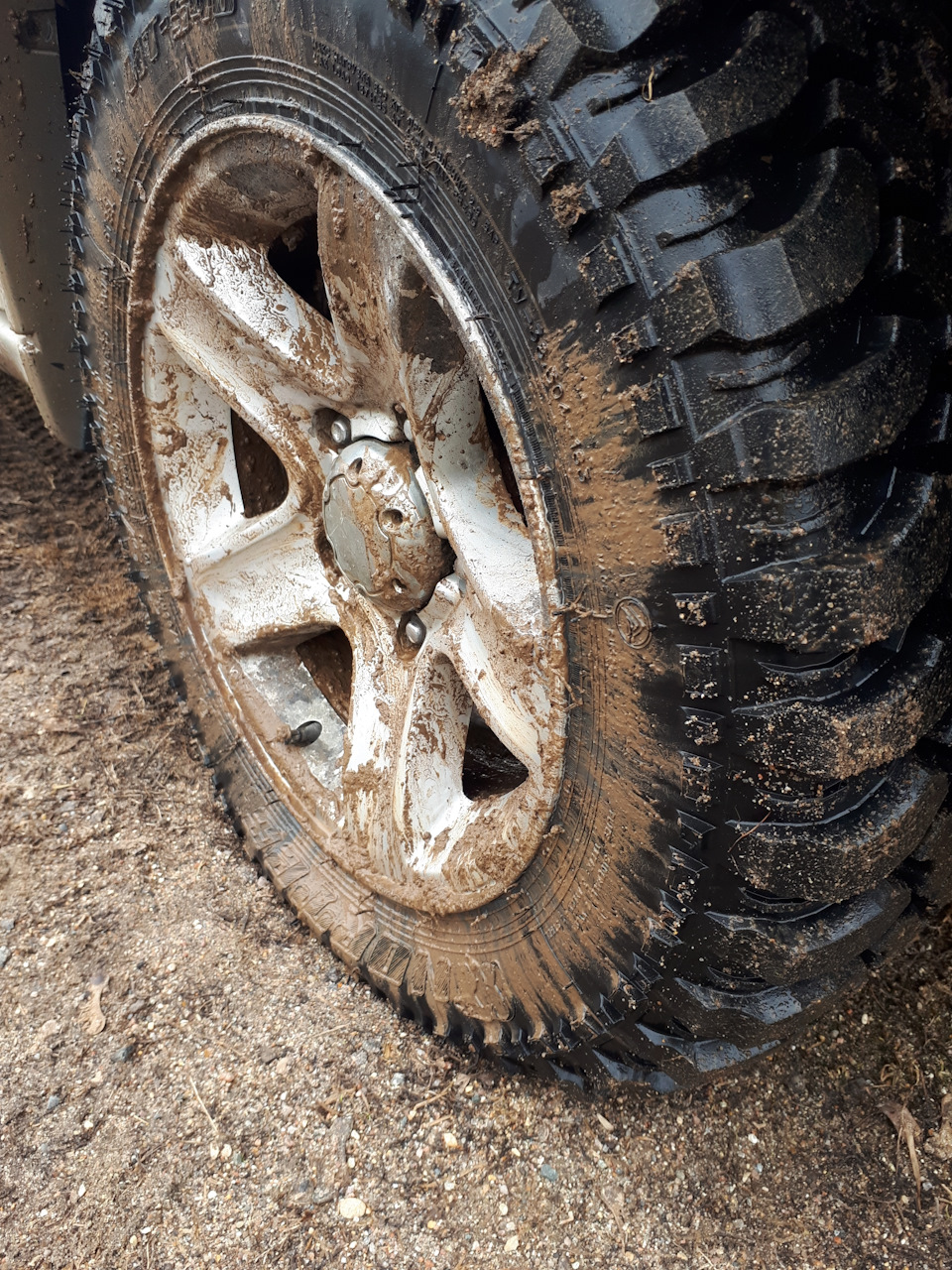Фото в бортжурнале Suzuki Grand Vitara (1G)
