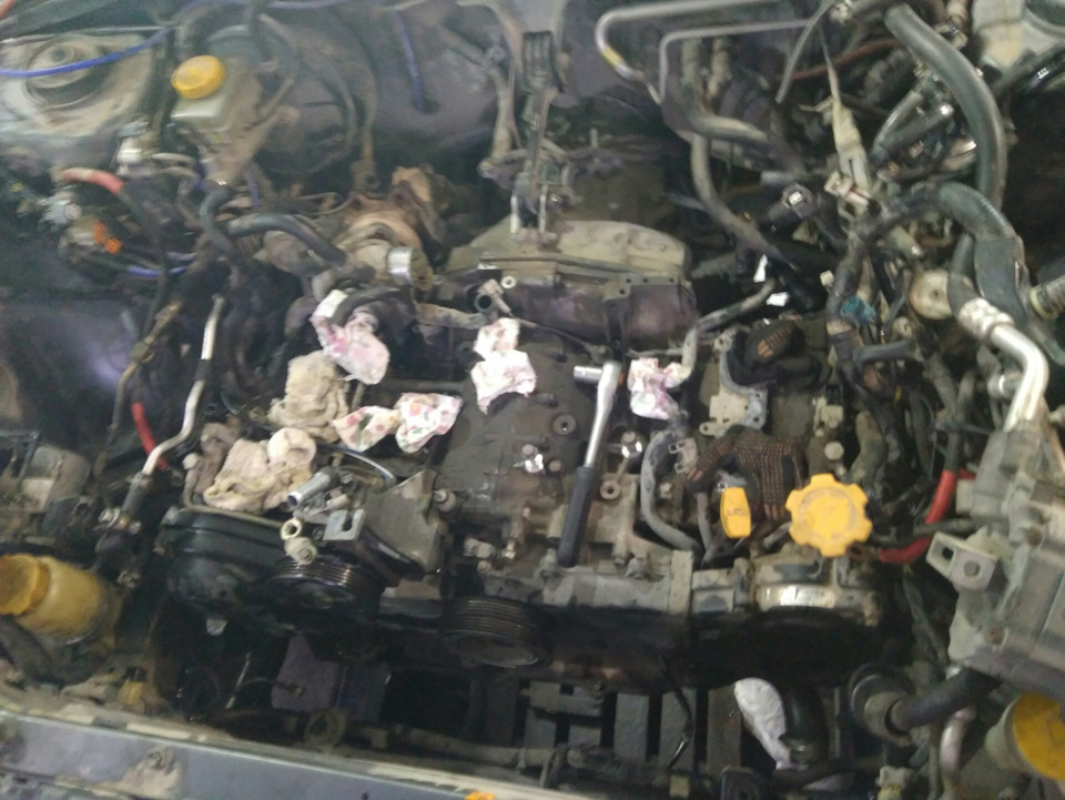 Фото в бортжурнале Subaru Forester (SG)