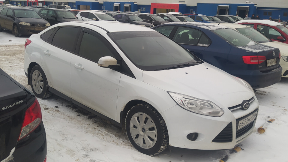Ford Focus Sedan "Белка"