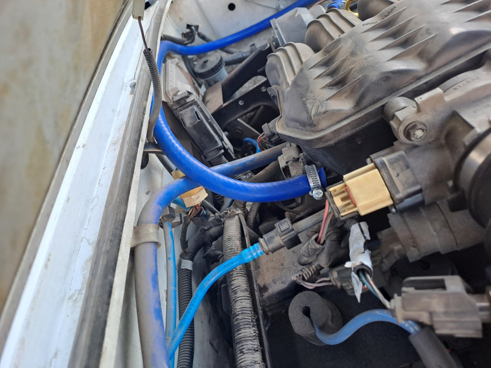 Метр шланга прям с лютым запасом, потом срежу чутка — GAZ 31105