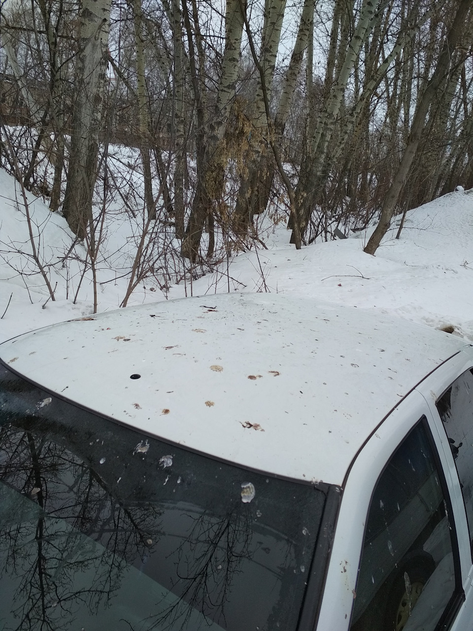 Фото в бортжурнале Lada Приора хэтчбек