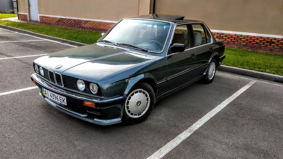 BMW 3 series Дельфин