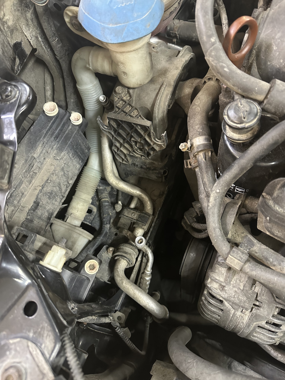 Фото в бортжурнале Skoda Octavia A5 Mk2