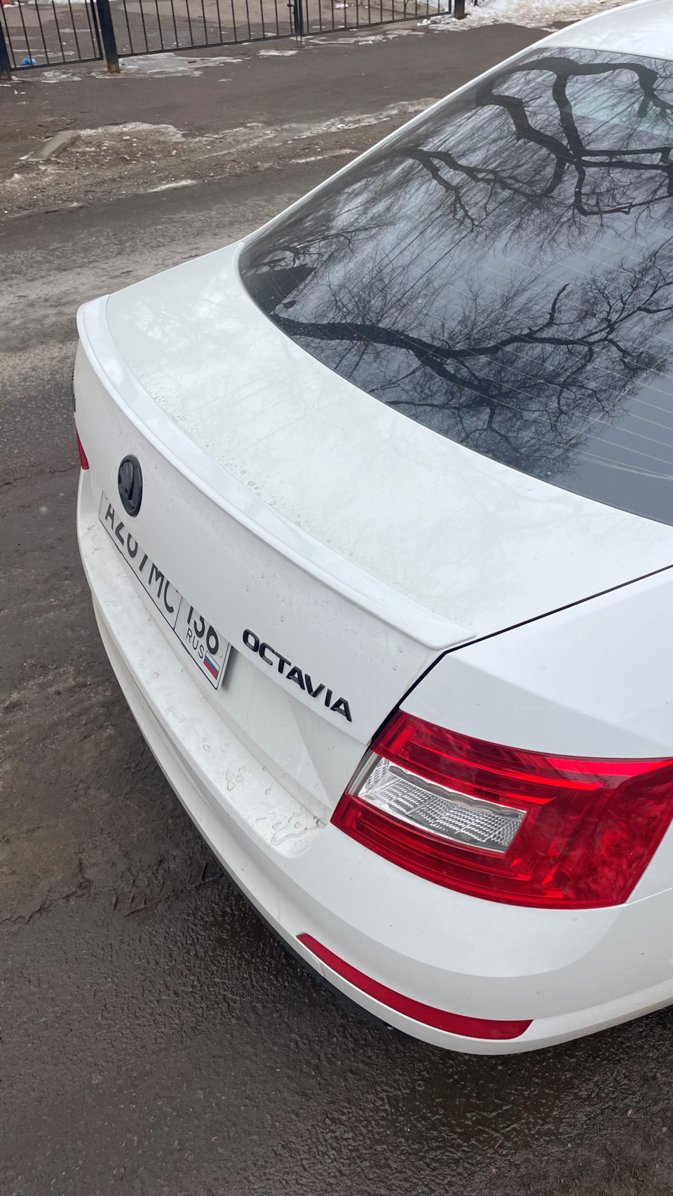 Фото в бортжурнале Skoda Octavia A7 Mk3