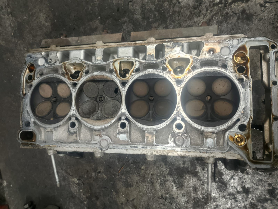 Фото в бортжурнале Volkswagen Tiguan (1G)