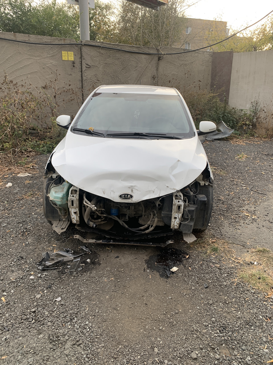 Фото в бортжурнале KIA Rio (3G)