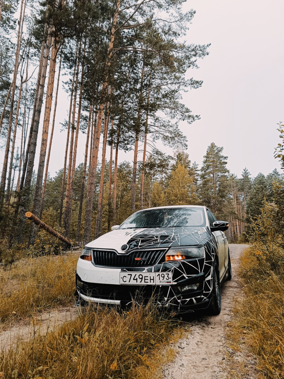 Фото в бортжурнале Skoda Rapid (1G)