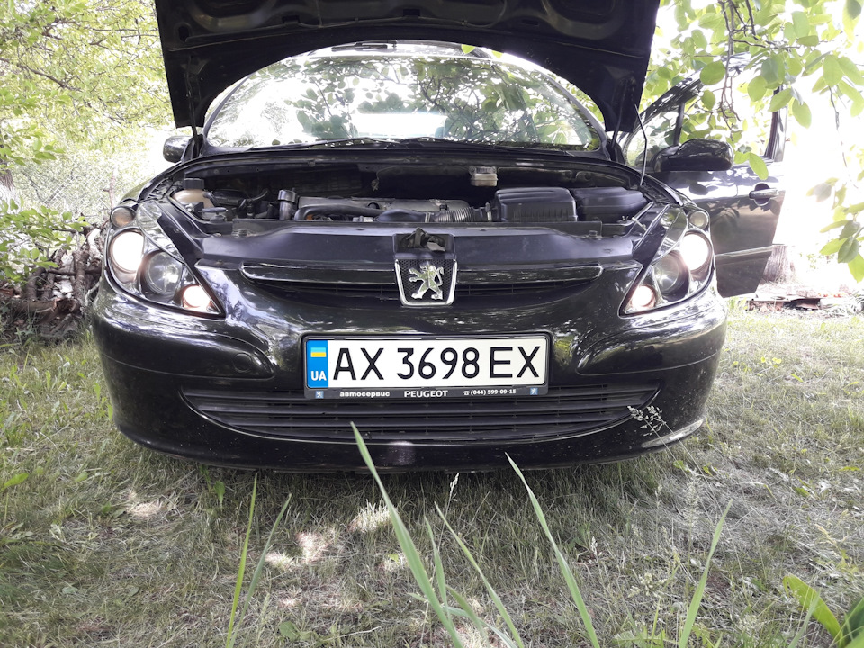 Фото в бортжурнале Peugeot 307