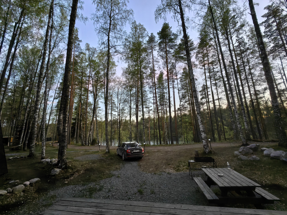 Белые ночи) в 23:00 — Skoda Octavia A7 Mk3