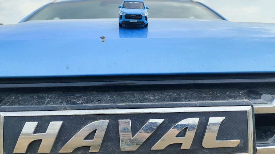 Haval Jolion 💙✈️