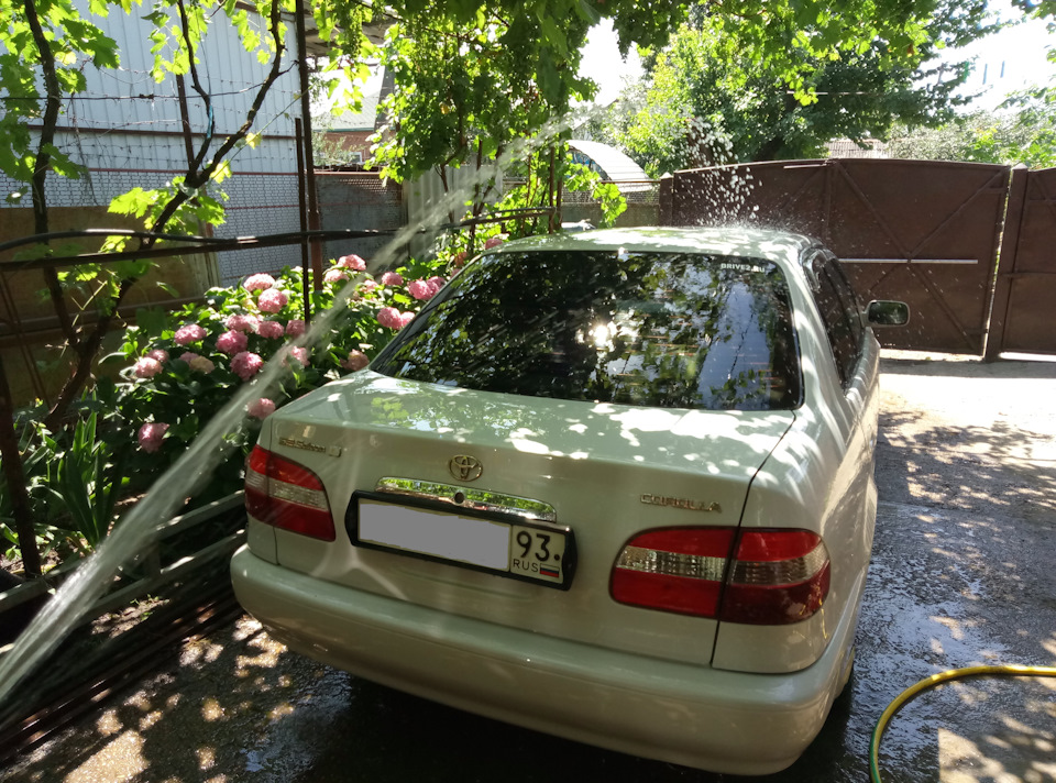 Смыл водой — Toyota Corolla (110)