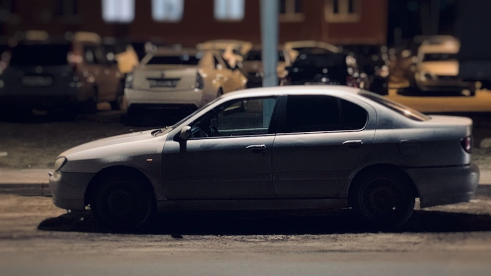 Nissan Primera Новая жизнь